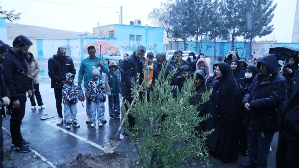 Planting an olive sapling in memory of Mahyar at the site where he was killed in the schoolyard