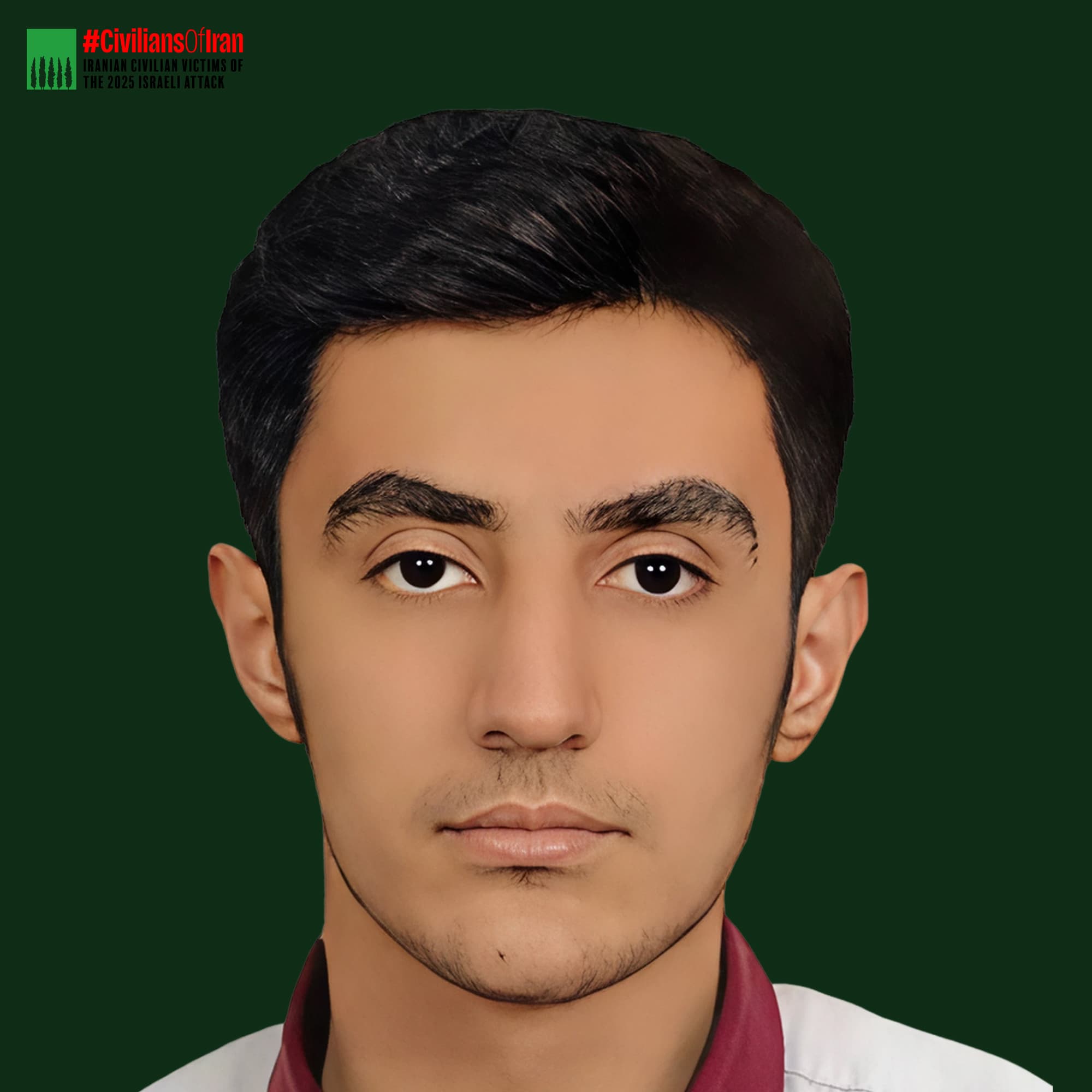 Amirhossein Jamshidpour
