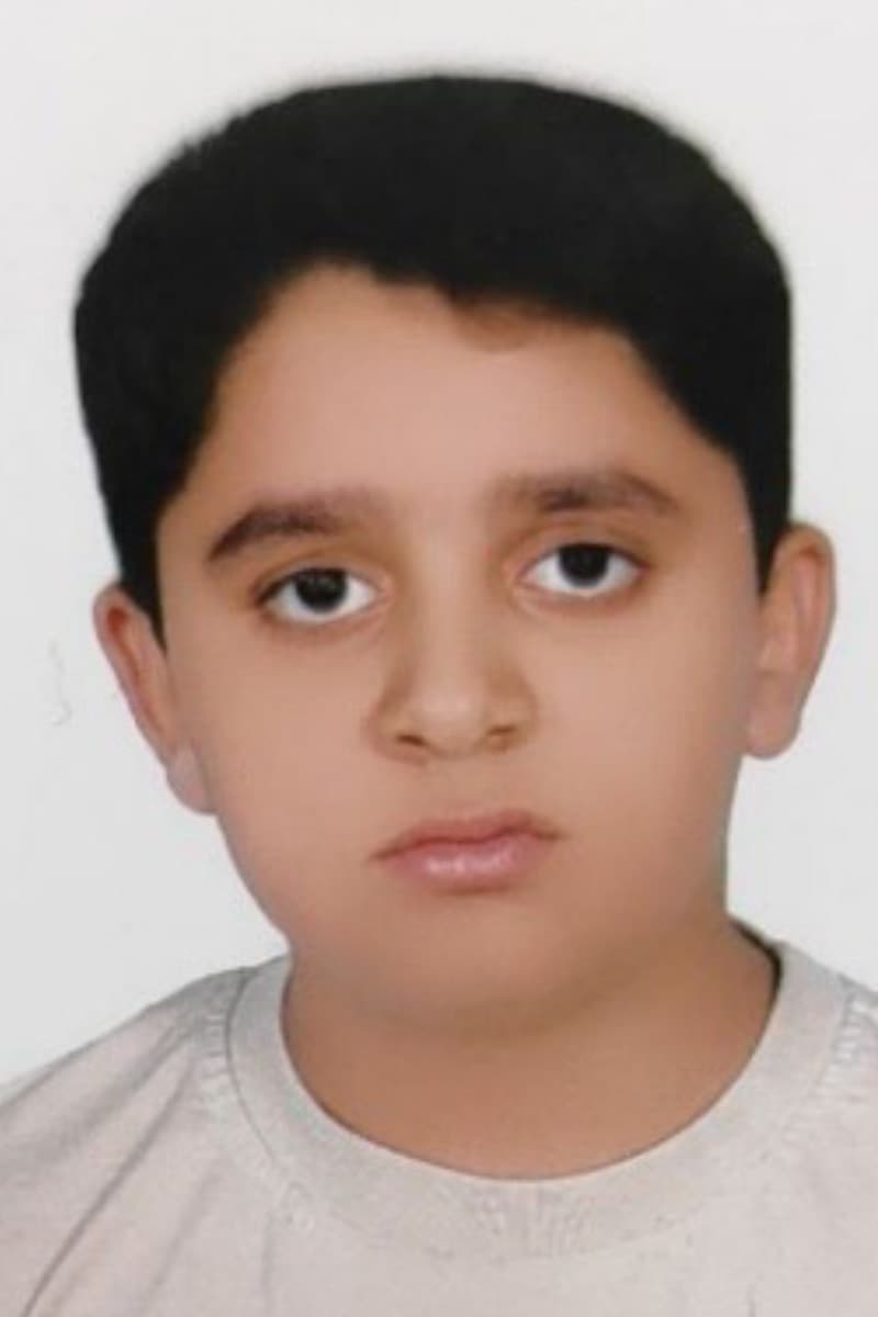 Amirhossein Rasouli