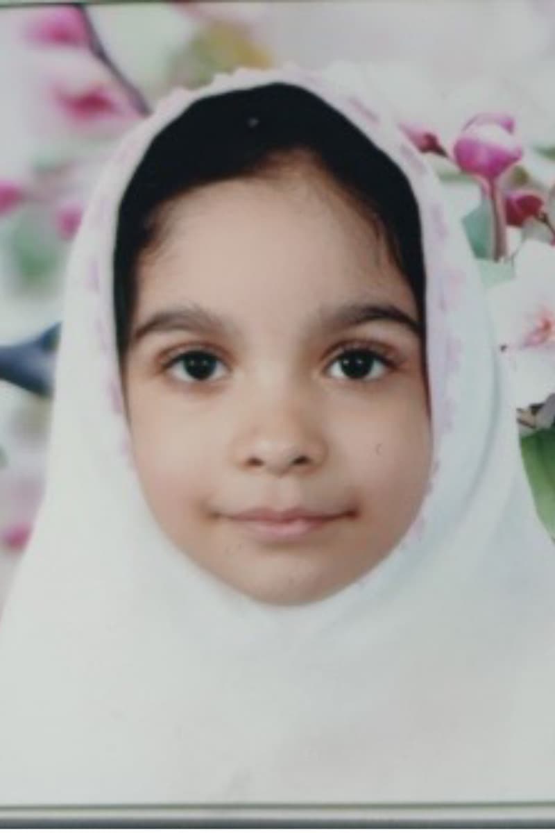 Hannaneh Zakerikhahan