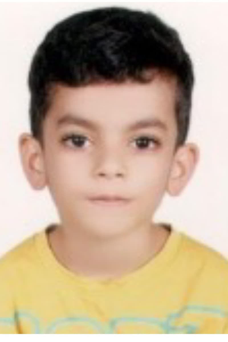 Mohammad Hessam raesi